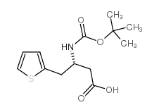 Boc-(s)-3-氨基-4-(2-噻吩)丁酸