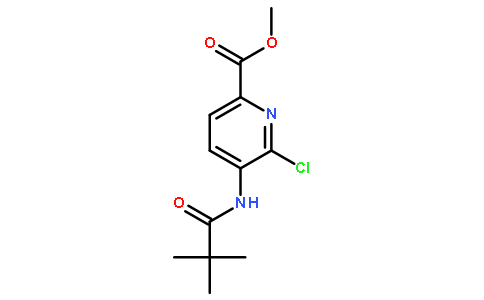 6-氯-5-三甲基乙酰胺吡啶甲酸甲酯
