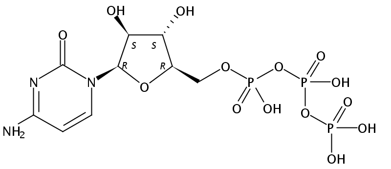 阿拉伯糖胞苷5'-三磷酸（ara-CTP）（水溶液）