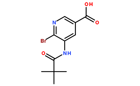 5-特戊酰胺基-6-溴烟酸