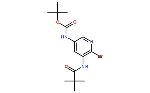 tert-Butyl 6-bromo-5-pivalamidopyridin-3-ylcarbamate