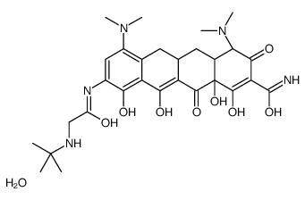 (4S,4aS,5aR,12aR)-9-[[2-(tert-butylamino)acetyl]amino]-4,7-bis(dimethylamino)-1,10,11,12a-tetrahydroxy-3,12-dioxo-4a,5,5a,6-tetrahydro-4H-tetracene-2-carboxamide,hydrate