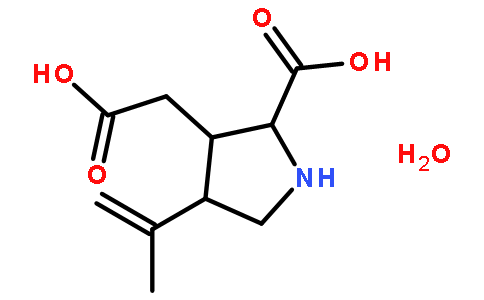 Kainic acid monohydrate