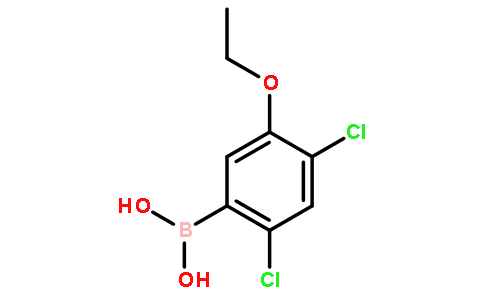 2,4-二氯-5-乙氧基苯硼酸