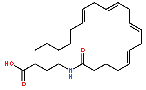 N-花生酰-γ-氨基丁酸