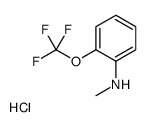 N-甲基-2-(三氟甲氧基)苯胺盐酸盐