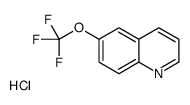 6-(三氟甲氧基)喹啉盐酸盐