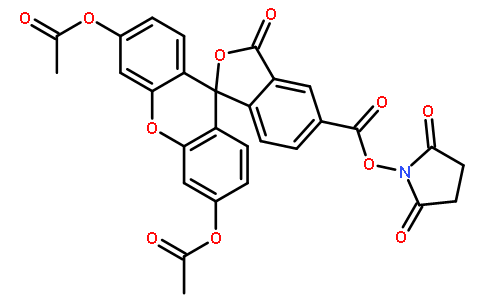 5-羧基二乙酰化荧光素琥珀酰亚胺酯