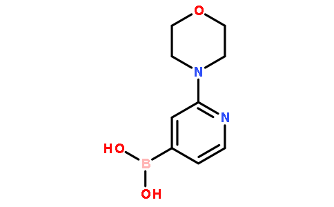 B-[2-(4-吗啉基)-4-吡啶基]-硼酸