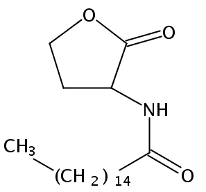 十六烷酰基-DL-高丝氨酸内酯 ≥97%(GC)