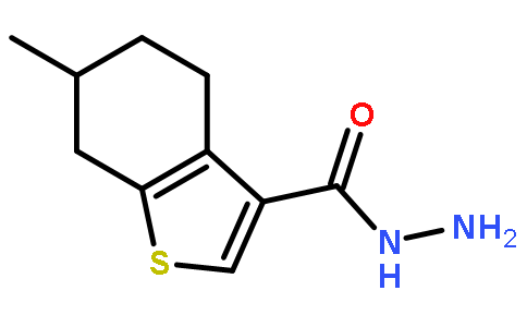 6-甲基-4,5,6,7-四氢-1-苯并噻吩-3-碳酰肼