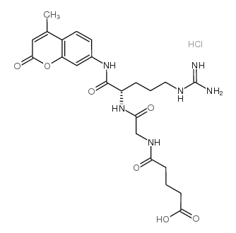 N-戊二酰基-甘氨酰-精氨酸-7-氨基-4-甲基香豆素盐酸盐