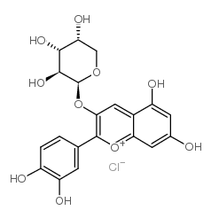 矢车菊素 3-阿拉伯糖苷
