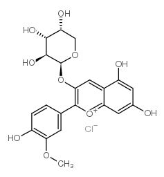 氯化阿拉伯糖苷芍药素