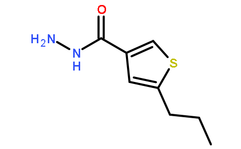 5-丙基噻吩-3-碳酰肼