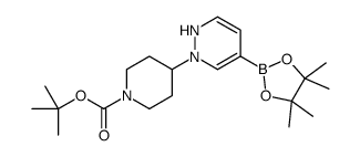 tert-butyl 4-[4-(4,4,5,5-tetramethyl-1,3,2-dioxaborolan-2-yl)-1H-pyridazin-2-yl]piperidine-1-carboxylate