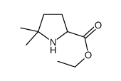5,5-二甲基吡咯烷-2-羧酸乙酯