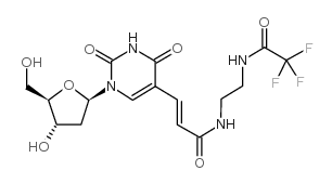5-[N-(2-(TRIFLUOROACETAMIDO)ETHYL)-3-(E)-ACRYLAMIDO]-2'-DEOXYURIDINE