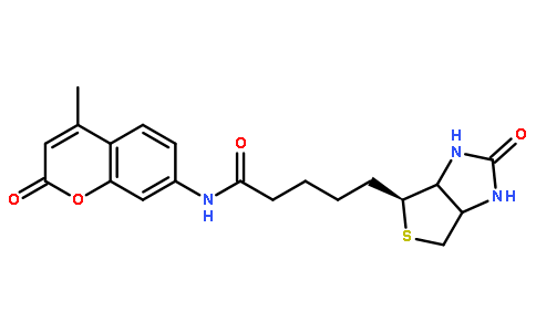 N-D-生物素-7-氨基-4-甲基香豆素
