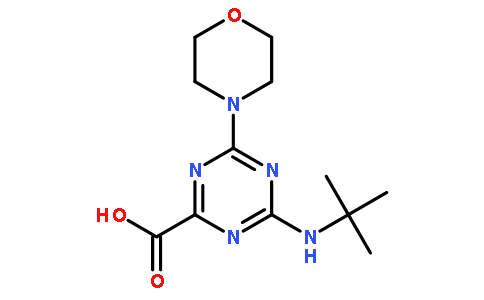 4-叔丁基氨基-6-吗啉-4-基-[1,3,5]三嗪-2-羧酸