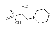 2-(N-吗啉)乙磺酸一水物