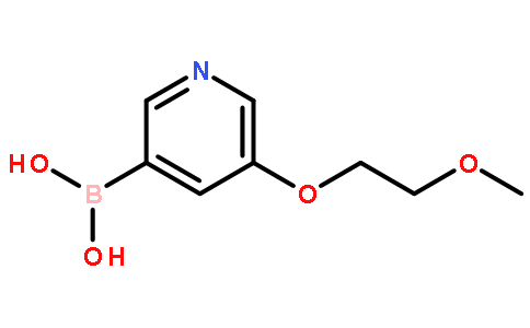 5-(2-甲氧基乙氧基)吡啶-3-硼酸