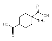 1-氨基-1,4-环己烷二羧酸