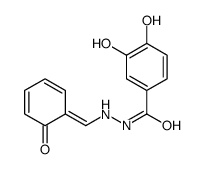 3,4-dihydroxy-N'-[(Z)-(6-oxocyclohexa-2,4-dien-1-ylidene)methyl]benzohydrazide