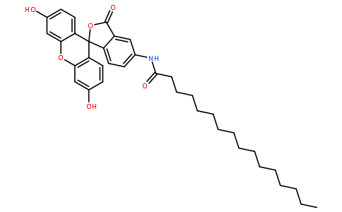 5-(N-十六烷酰)氨基荧光黄