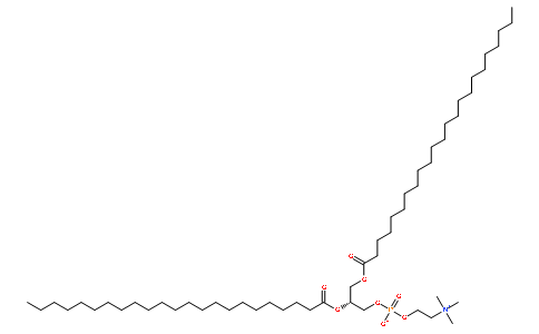 1,2-ditricosanoyl-sn-glycero-3-phosphocholine