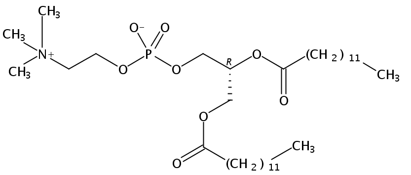 1,2-ditridecanoyl-sn-glycero-3-phosphocholine