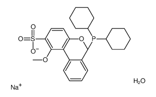 2'-二环己基-2,6-二甲氧基-3-磺酸- 1,1'-联苯水合物钠盐