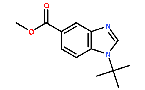 甲基1-(叔丁基)-1H-苯并[d]咪唑-5-羧酸