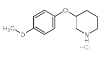 3-(4-甲氧基苯氧基)哌啶盐酸盐