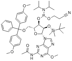 N-乙酰基-5’-O-(4,4-二甲氧基三苯甲基)-2’-O-[(叔丁基)二甲基硅基]-6’-O-甲基鸟苷-3’-(2-氰基乙基-N,N-二异丙基)亚磷酰胺