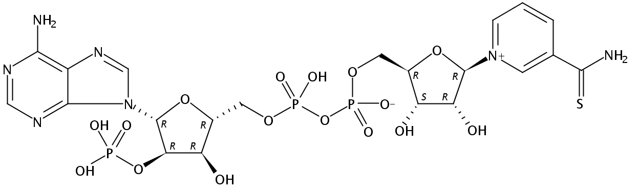 硫代辅酶腺嘌呤二核苷磷酸钠