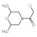 2-氯-1-(2,6-二甲基-吗啉-4-基)-乙酮