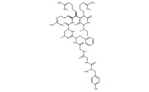 强啡肽1～9片段