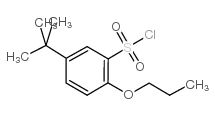 5-tert-Butyl-2-propoxy-benzenesulfonylchloride