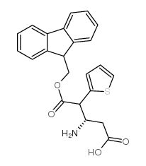 Fmoc-(S)-3-氨基-4-(2-噻吩基)丁酸
