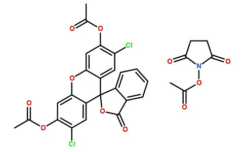 5(6)-羧基-2`,7`-二氯荧光素二乙酸酯N-琥珀酰亚胺酯