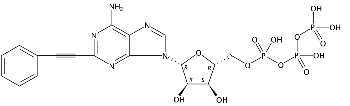 Tetrasodium 2-(phenylethynyl)-5'-O-({[(phosphonatooxy)phosphinato ]oxy}phosphinato)adenosine