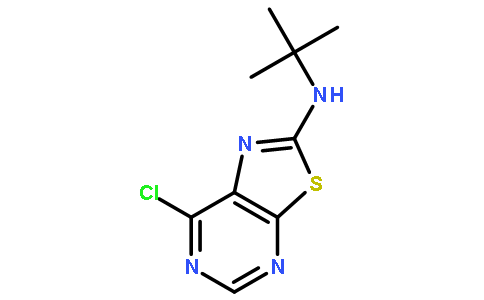 叔丁基-(7-氯噻唑并[5,4-d]嘧啶-2-基)-胺