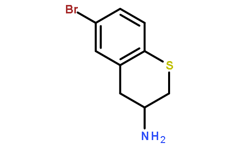 6-溴硫代苯并二氢吡喃-3-胺