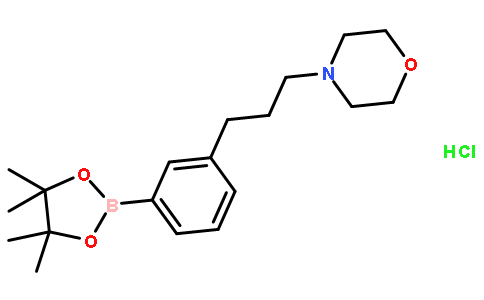 3-(3-吗啉丙基)苯硼酸频那醇酯盐酸盐