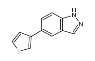 5-噻吩-3-基-1H-吲唑