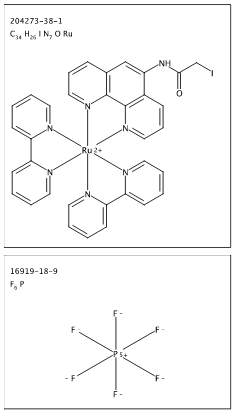 [Ru(bpy)2(5-iodoacetamido-1,10-phenanthroline)](PF6)2