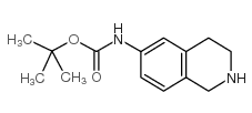 (1,2,3,4-四氢-异喹啉-6-基)-特丁基氨基甲酸酯
