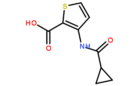 3-[(环丙基羰基)氨基]-2-噻吩羧酸