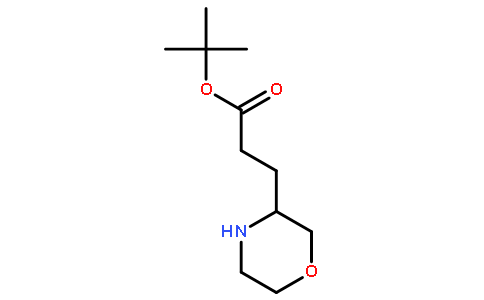 3-吗啉-3-丙酸叔丁酯